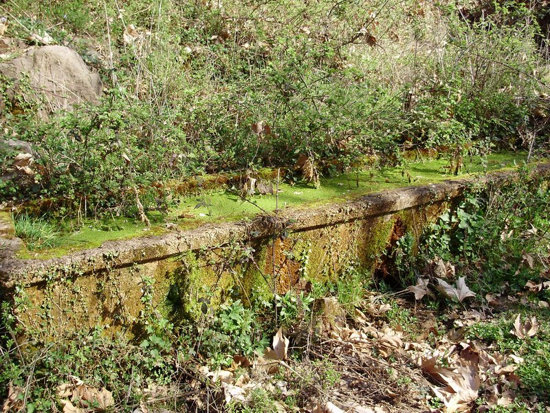 Tipologie di habitat dell''ululone nella collina atesina